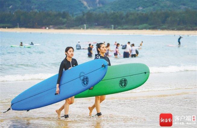 探索知识星球平台鹌鹑蛋的胆固醇高吗?,与专业导师共同成长